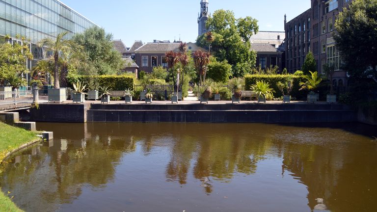 De Hortus botanicus in Leiden